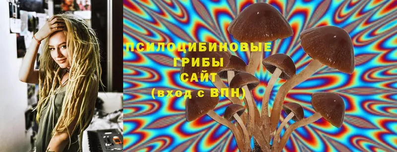 Галлюциногенные грибы Cubensis  как найти закладки  Егорьевск 